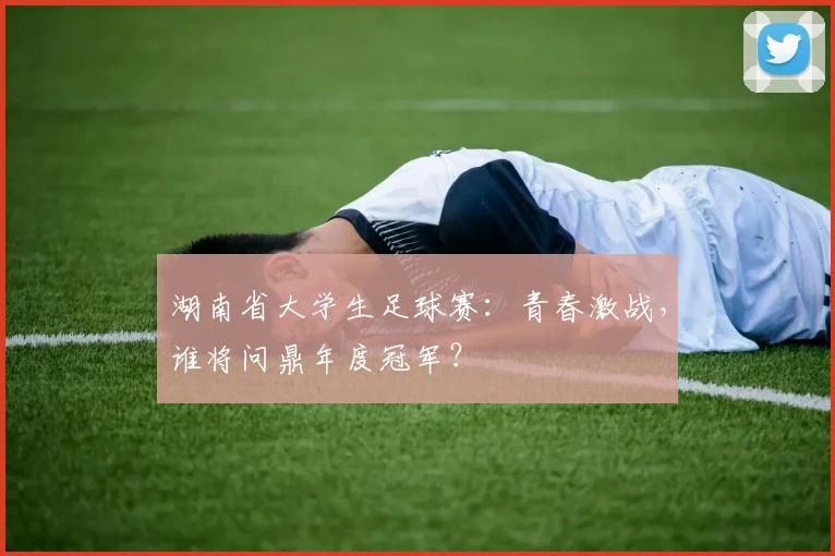 湖南省大学生足球赛:青春激战,谁将问鼎年度冠军?